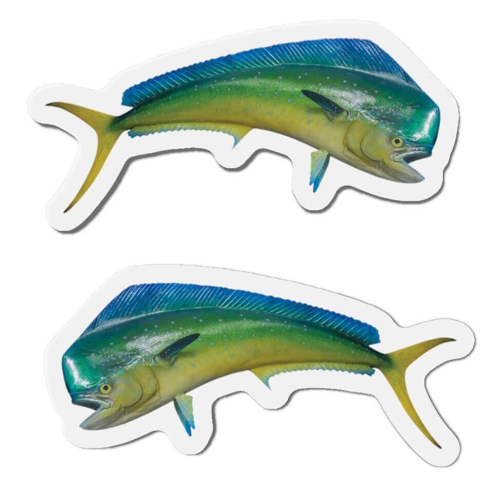 Mahi-Mahi fish-shaped magnets with left and right-facing designs, perfect for fish décor and fun kitchen magnets.