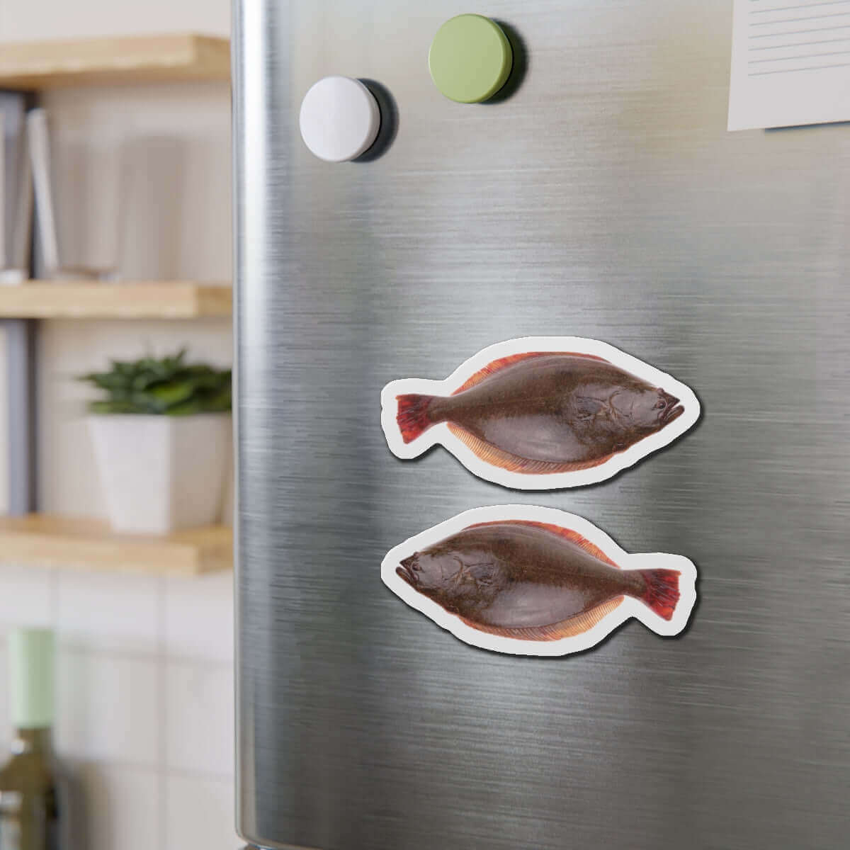 California Halibut fish shaped magnets on fridge, fun kitchen décor for fishing enthusiasts