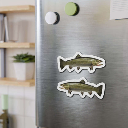 Cutthroat Trout fish shaped magnets on a fridge adding natural flair, perfect for fish décor and fun kitchen magnets.