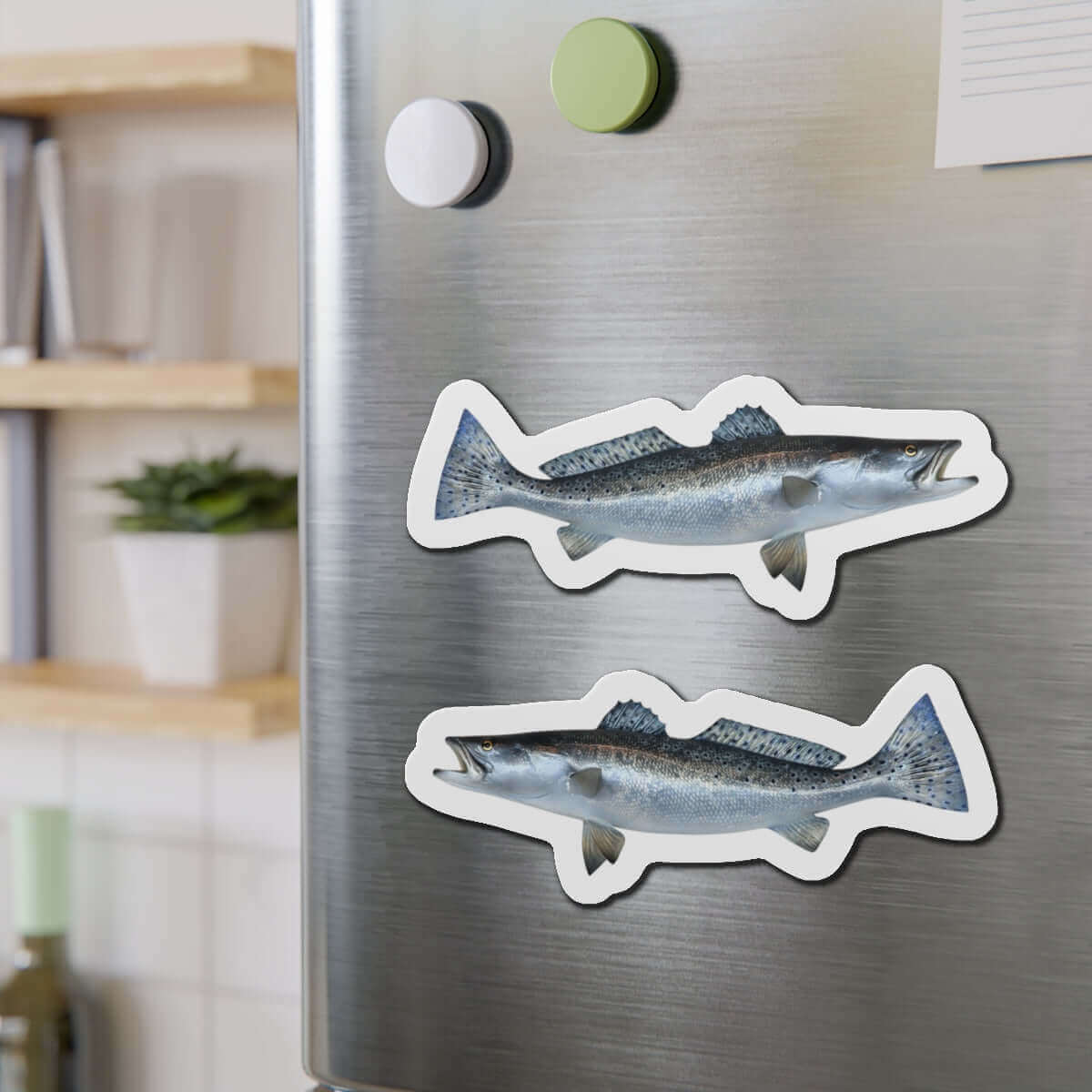 Spotted Seatrout fish shaped magnets on a refrigerator door, perfect for fun kitchen décor.