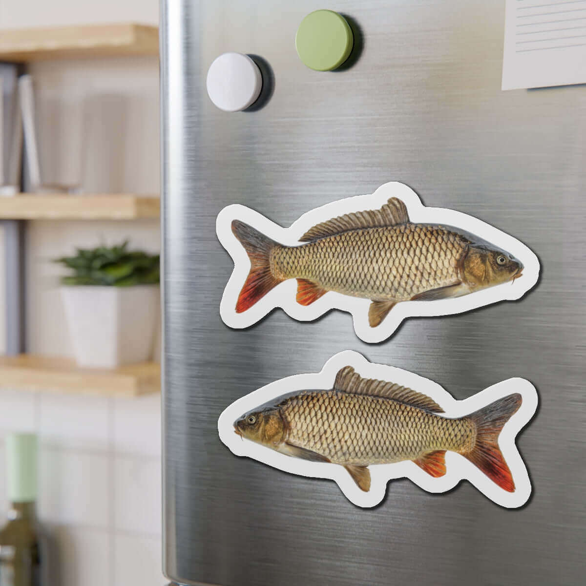 Carp-shaped magnets on a fridge, perfect for fishing fans or nature lovers.