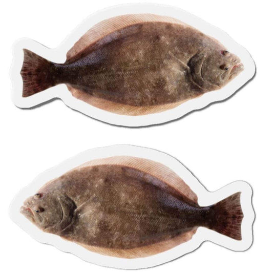 Winter Flounder fish shaped magnets for fun kitchen or refrigerator décor