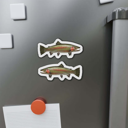 Steelhead Trout fish-shaped magnets on a fridge, perfect for fishing enthusiasts and fun kitchen magnets lovers.