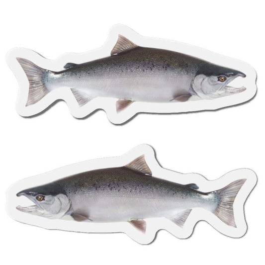 Coho salmon fish-shaped magnets in left and right-facing designs for nature lovers and fishing fans.