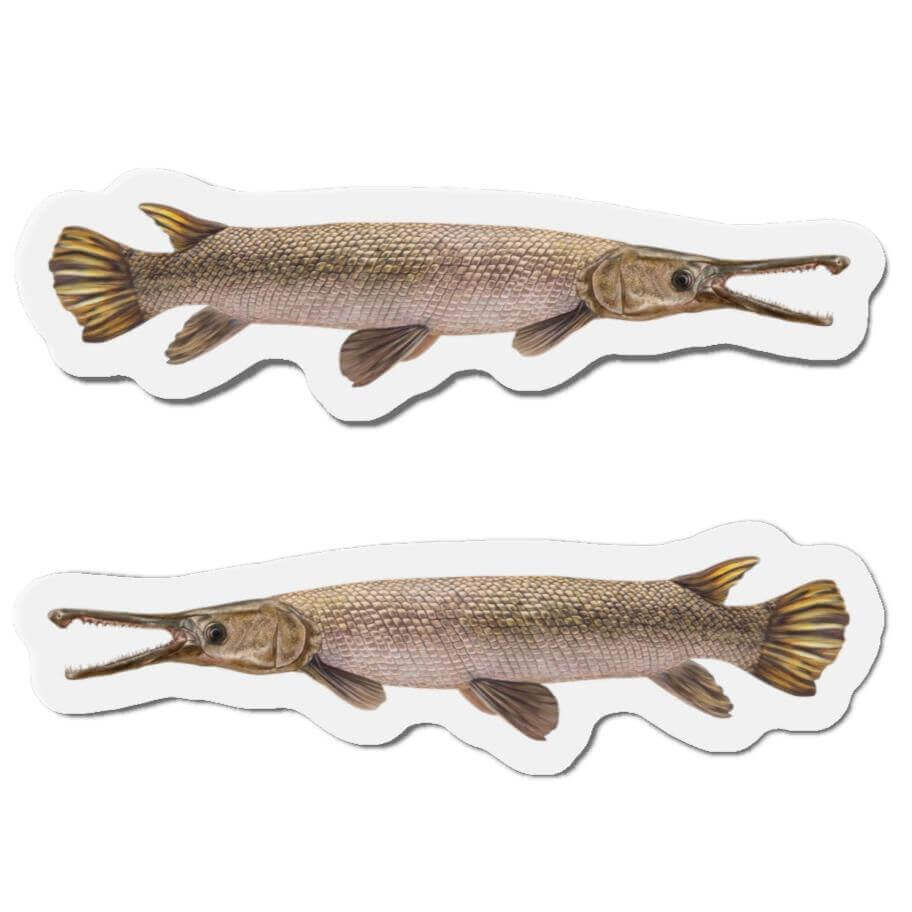 Two Alligator Gar fish shaped magnets for fun fridge décor