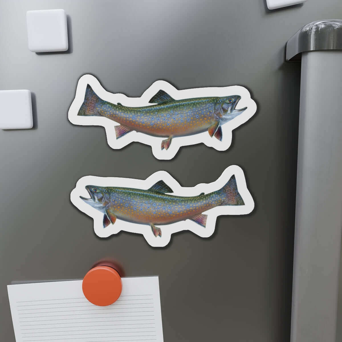 Brook Trout fish magnets on fridge, perfect for fishing enthusiasts and nature lovers.