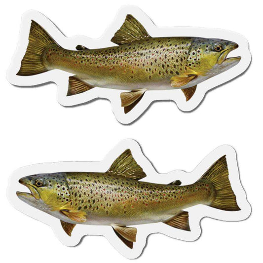 Brown Trout fish shaped magnets with left and right-facing designs, perfect for fun kitchen décor and fishing enthusiasts.