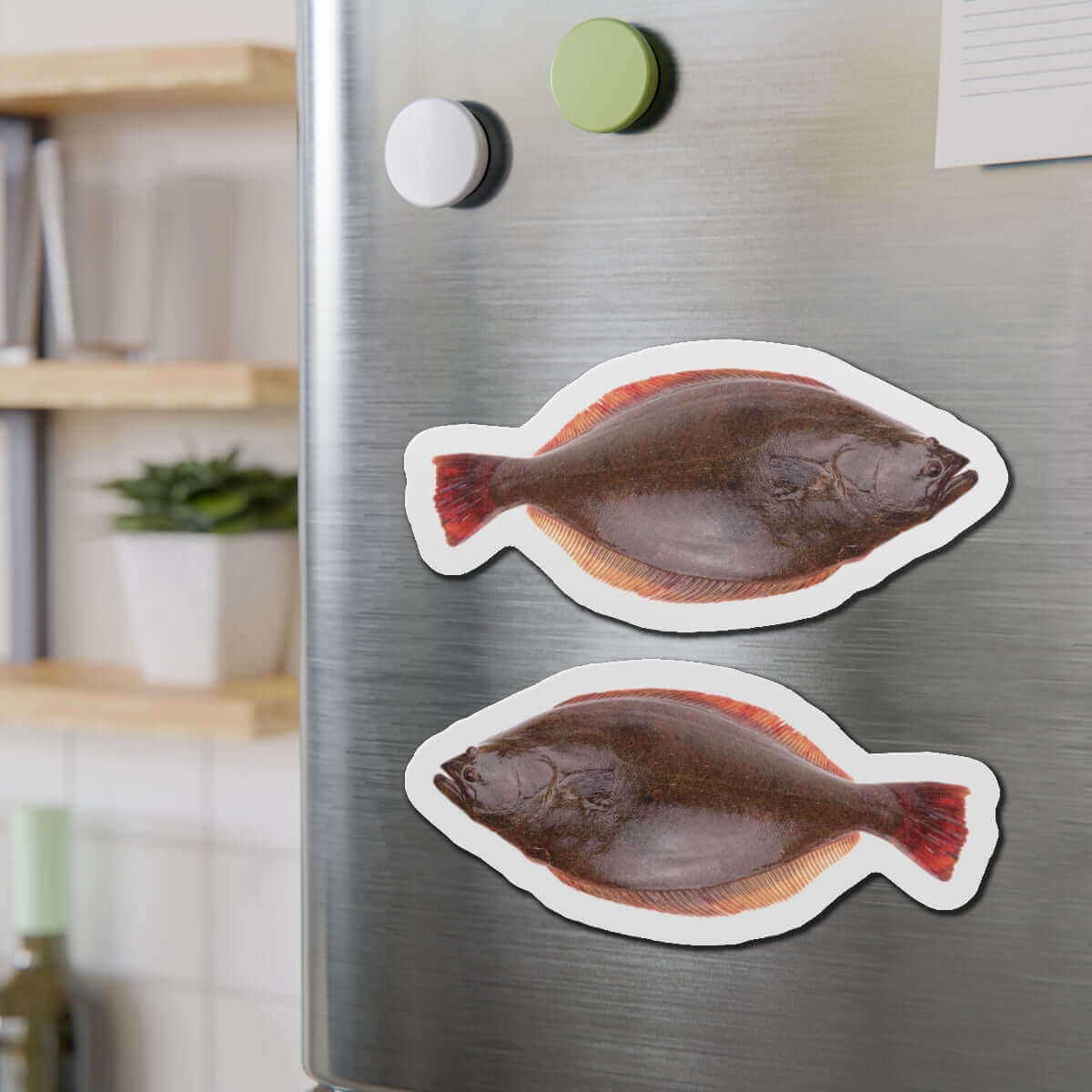 California Halibut fish shaped magnets on a refrigerator, perfect for fish décor and fishing enthusiasts.