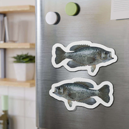 Crappie Fish Shaped Magnets on Fridge - Fun Kitchen Decor and Fish Fridge Magnets