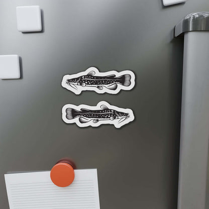 Flathead Catfish magnets on a refrigerator door, perfect for fish décor and fun kitchen magnets enthusiasts.