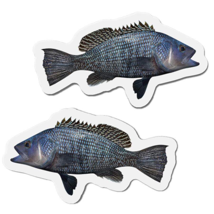 Black Seabass Fish Shaped Magnets for Fridge Décor