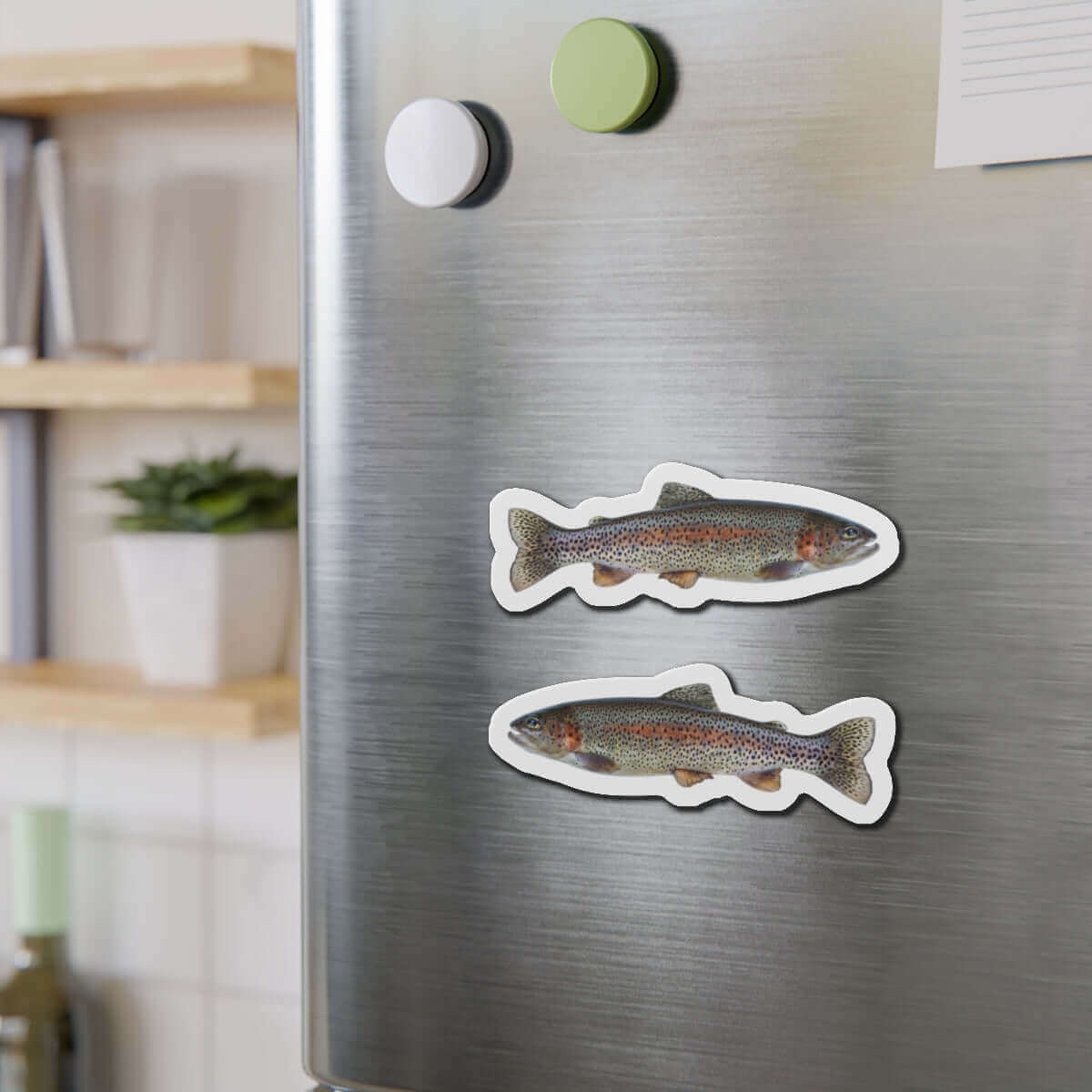 Rainbow Trout fish shaped magnets on fridge, adding natural flair and fun to kitchen décor.