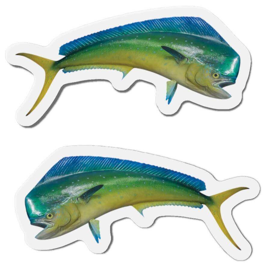 Mahi-Mahi fish shaped magnets for fun kitchen décor, featuring left and right-facing designs for fishing enthusiasts.