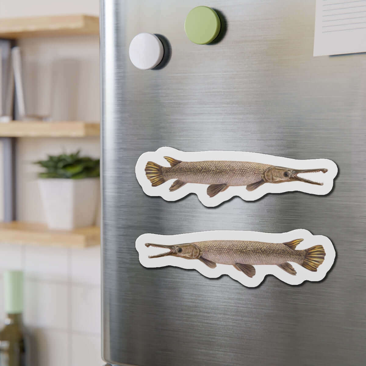 Alligator Gar fish shaped magnets on a fridge, perfect for fish décor and fishing fridge magnet enthusiasts.