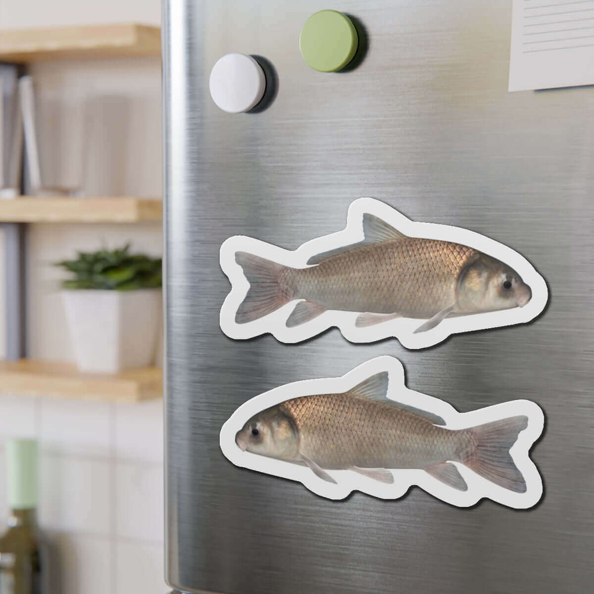 Black Buffalo fish-shaped magnets on a fridge, perfect for fish décor or fun kitchen magnets.