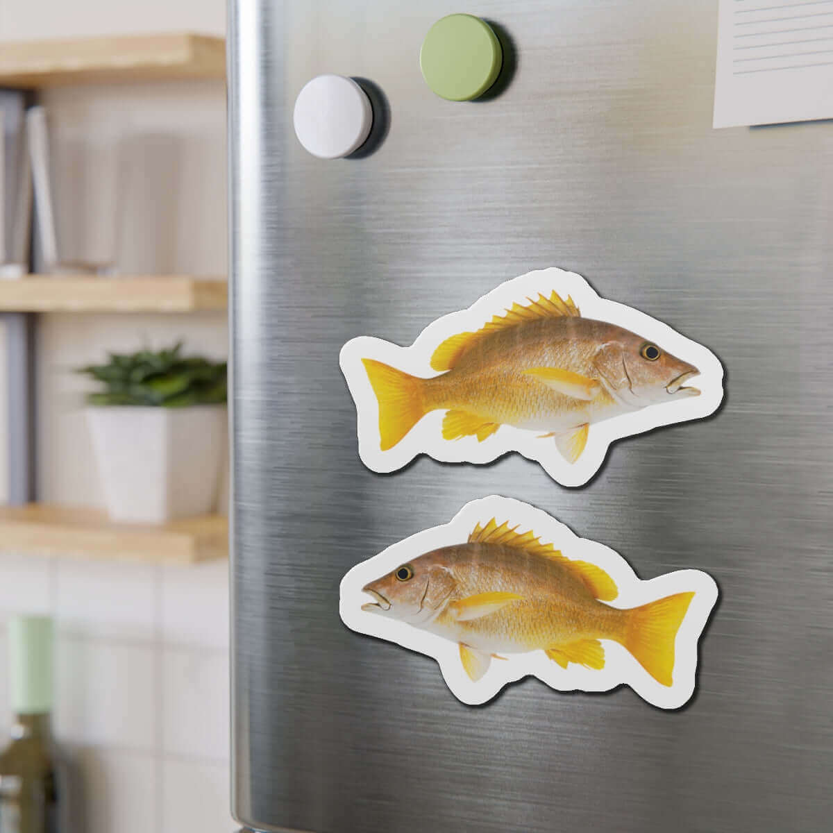 Schoolmaster Snapper fish shaped magnets on a fridge door, adding fun fish décor to the kitchen.