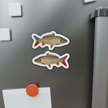 Carp-shaped magnets on fridge, left and right facing fish design, adding natural flair for fishing fans and water lovers.