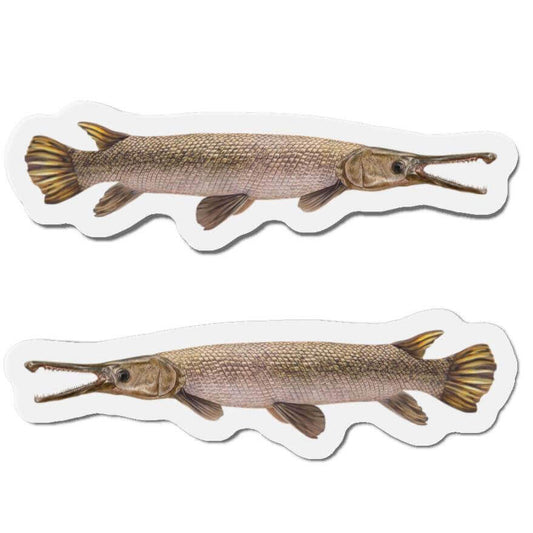 Alligator Gar fish-shaped magnets set for fishing fans with nature-inspired fish décor for your refrigerator or kitchen.