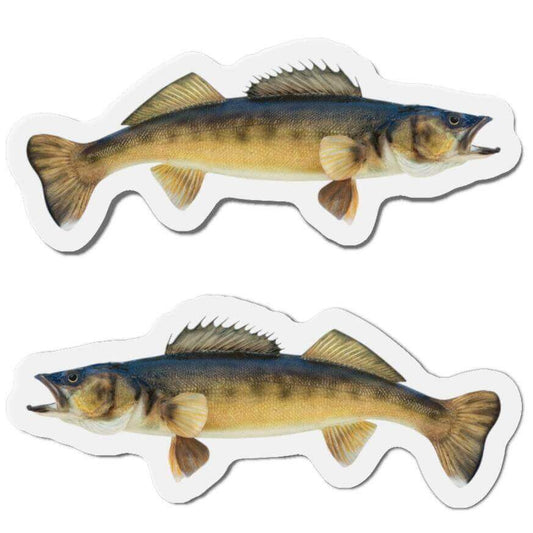 Walleye fish shaped magnets set for fun fridge décor