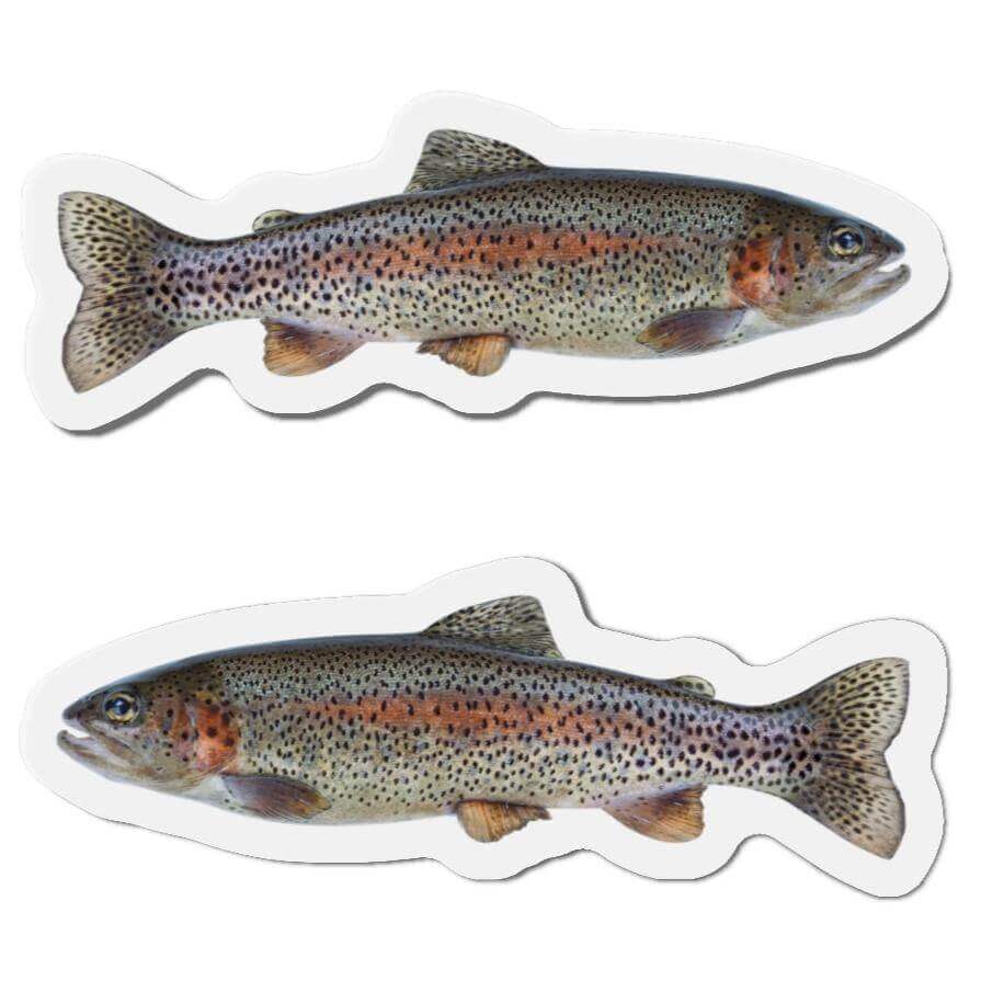 Rainbow Trout fish shaped magnets, perfect for fish décor and fun kitchen magnets.