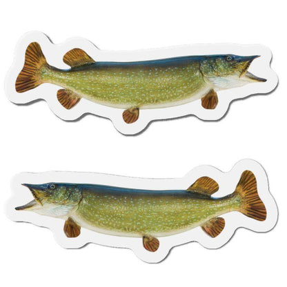 Northern Pike fish-shaped magnets with realistic design, perfect for fishing enthusiasts and fun fridge décor.