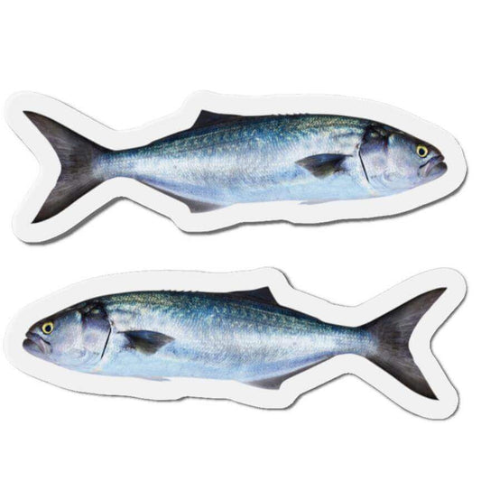 Bluefish-shaped magnets with left and right-facing designs, perfect for fish décor and fun fridge magnets.