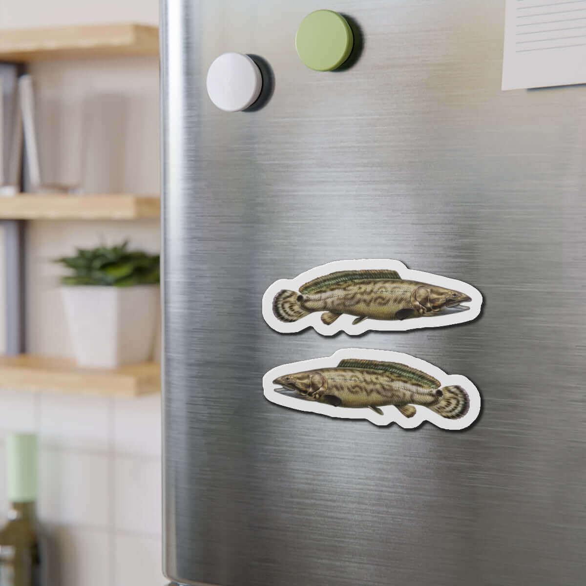 Bowfin fish-shaped magnets on a fridge, adding natural flair and fun décor for fishing fans.