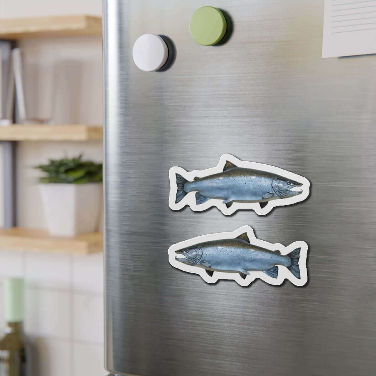 Atlantic Salmon fish magnets on refrigerator, perfect fish décor for fishing enthusiasts.