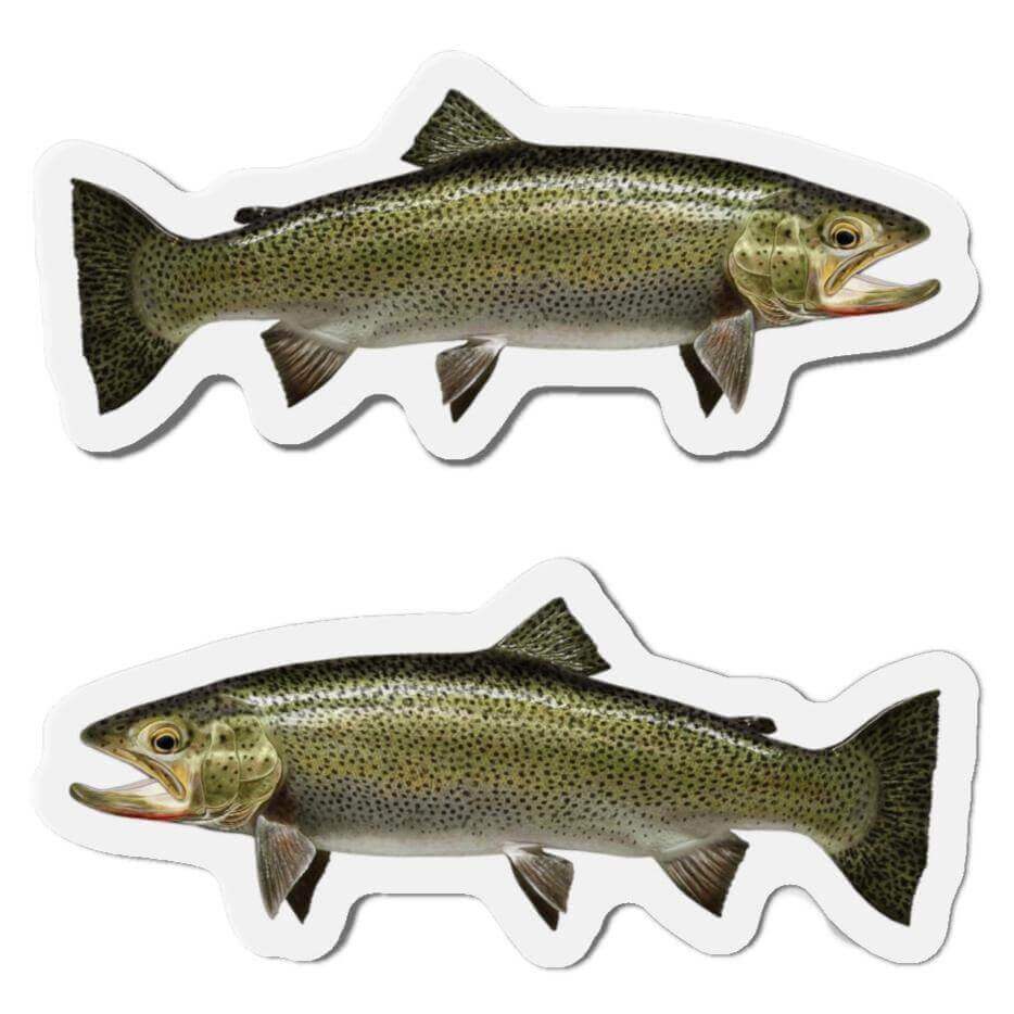 Cutthroat Trout fish shaped magnets in left and right-facing designs, perfect for fish décor and fun fridge accents.