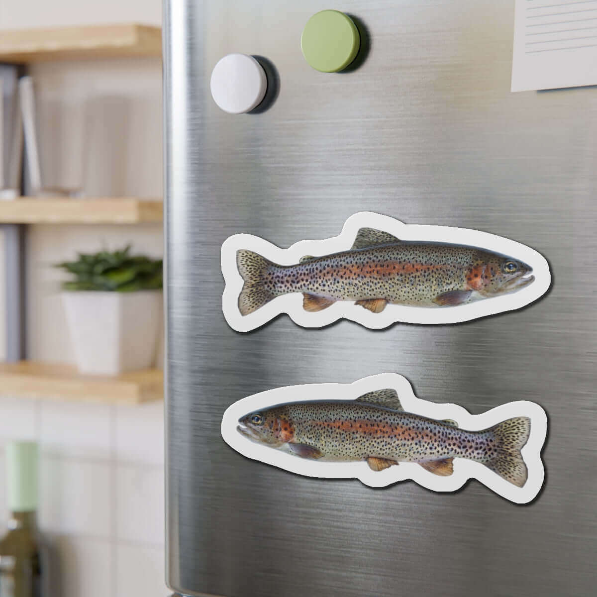 Rainbow Trout fish shaped magnets on a fridge, perfect for fish décor and fishing fans.