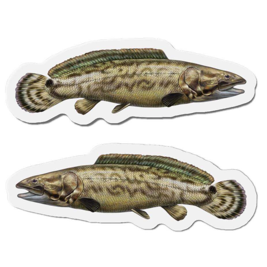 Pair of Bowfin fish-shaped magnets for fun fridge décor