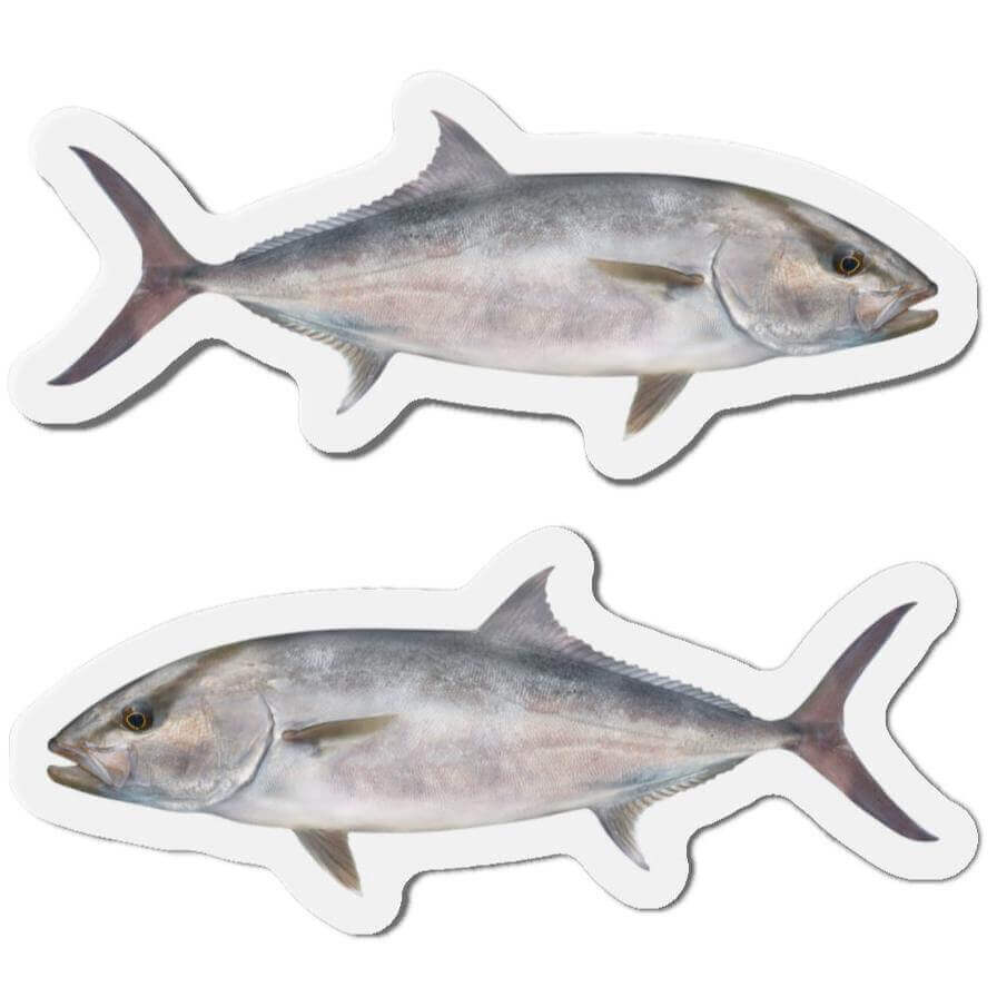 Amberjack fish shaped magnets, featuring left and right-facing designs, perfect for fishing fans and fun kitchen décor.