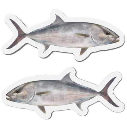 Amberjack fish shaped magnets, featuring left and right-facing designs, perfect for fishing fans and fun kitchen décor.