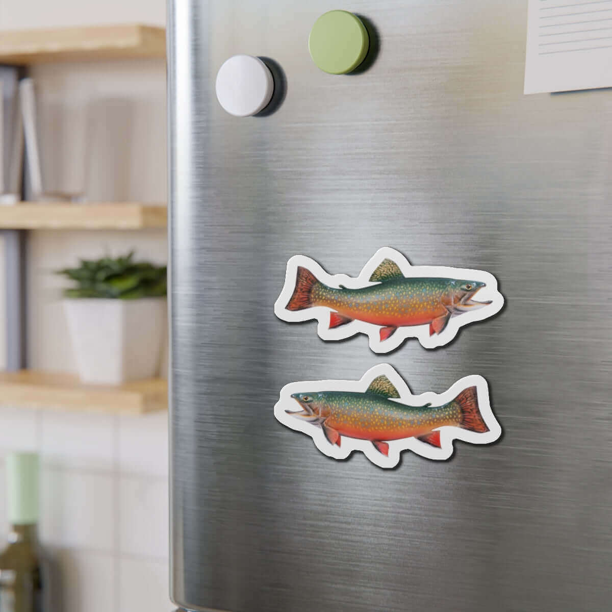 Colorful Brook Trout fish magnets on a refrigerator, adding natural charm to a kitchen.