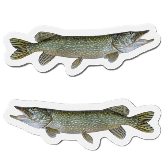 Northern Pike fish shaped magnets for fun fridge décor