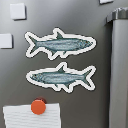 Tarpon Fish Shaped Magnets on Refrigerator Surface for Fish Décor