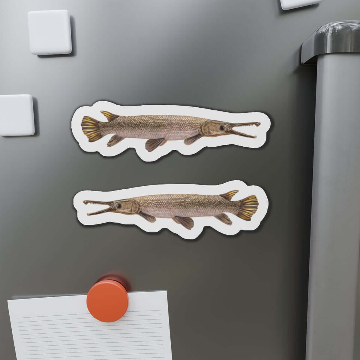 Alligator Gar fish shaped magnets on a refrigerator, showcasing fun kitchen décor and fishing fridge magnets.