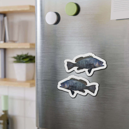 Black Seabass fish shaped magnets on fridge, perfect for fun kitchen décor and fishing enthusiasts.