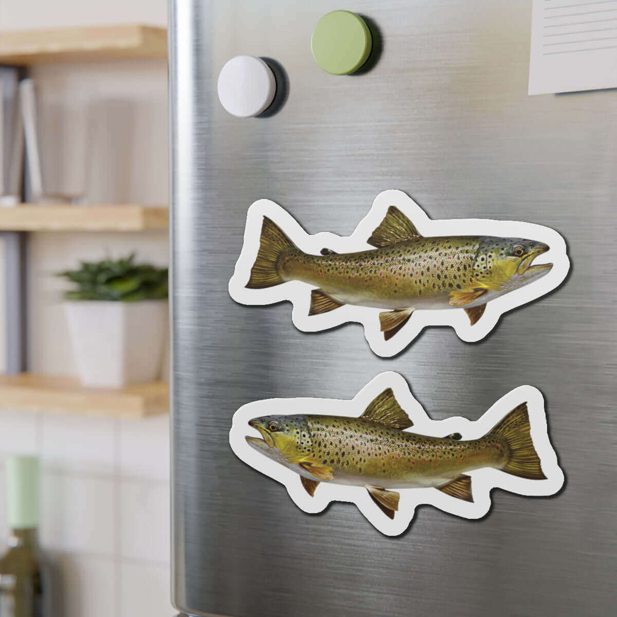 Brown Trout fish shaped magnets on a fridge, perfect for fish décor and fun kitchen magnets enthusiasts.