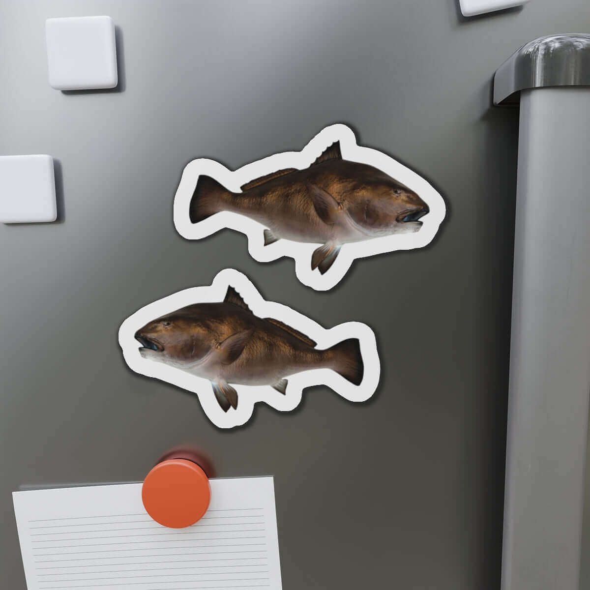 Black Drum fish shaped magnets on fridge, perfect for fish décor lovers and fun kitchen magnets enthusiasts.