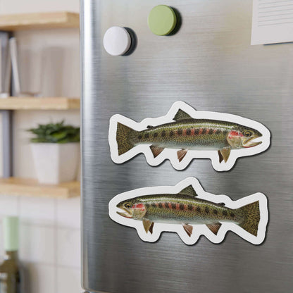 Cutthroat Trout fish magnets on fridge add natural flair for fishing fans and fun kitchen décor.