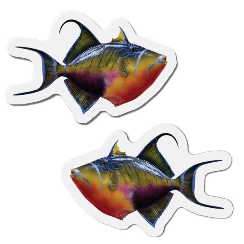 Triggerfish Shaped Magnets for Fun Fridge Décor