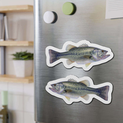 Largemouth Bass magnets on fridge, showcasing fish-shaped décor for fishing enthusiasts and nature lovers.