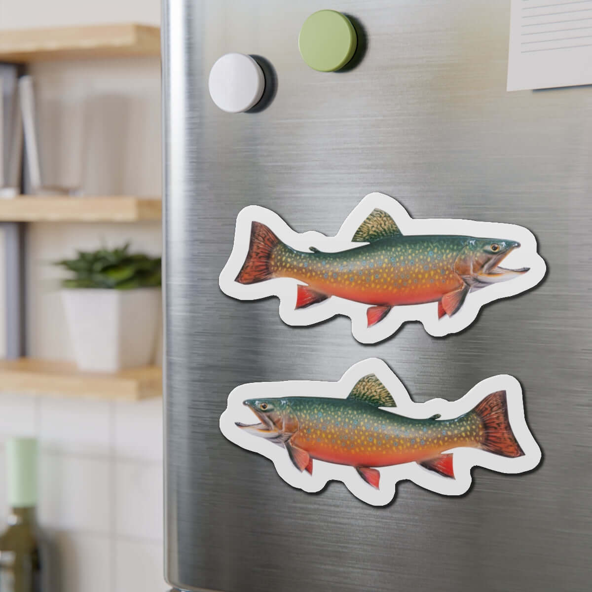 Brook Trout magnets on a fridge, left and right-facing fish designs, adding outdoor charm to the kitchen.