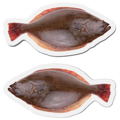 California Halibut Fish Shaped Magnets for Fridge Décor