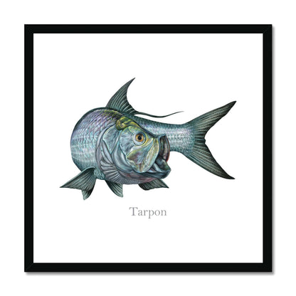 Tarpon | Framed & Mounted Print