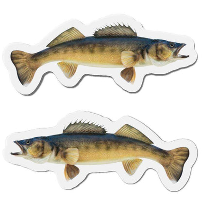 Walleye fish shaped magnets in left and right-facing designs for fishing fans and fun fridge décor.