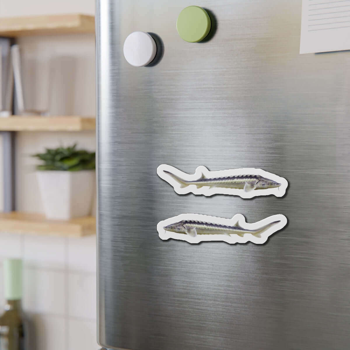 Sturgeon fish shaped magnets on a fridge for fun kitchen décor