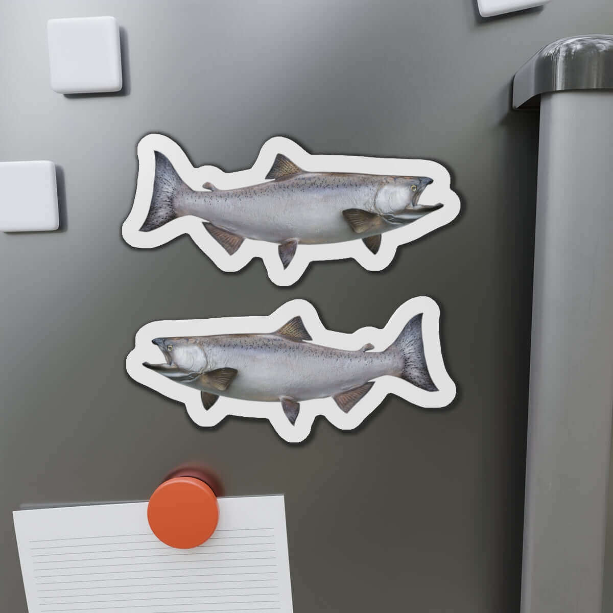 Chinook Salmon Fish Shaped Magnets on Fridge Door for Fun Kitchen Décor