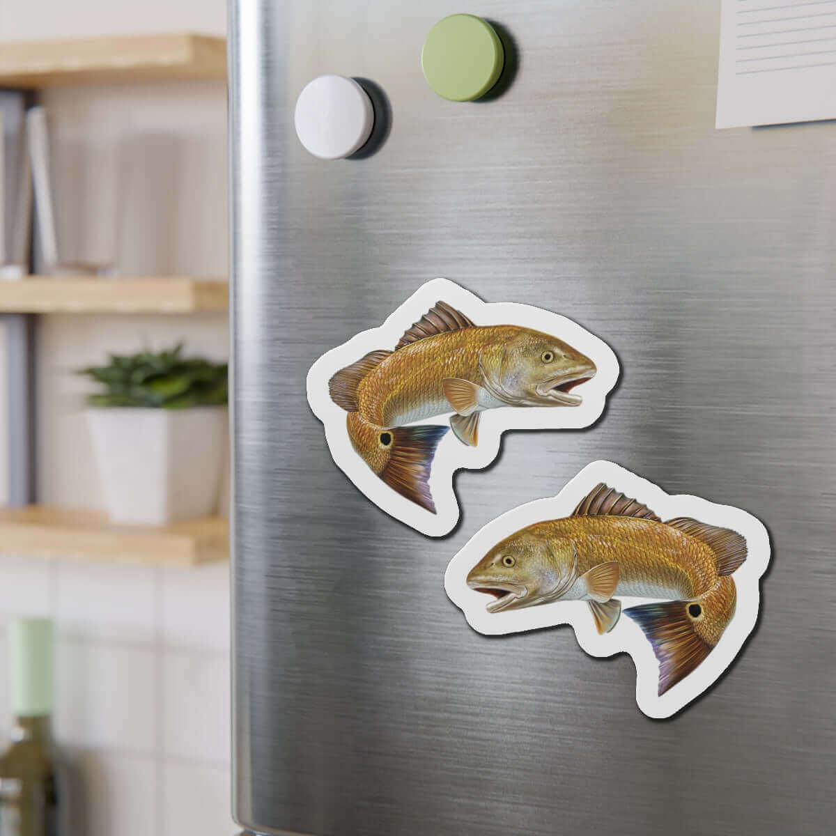 Red Drum fish shaped magnets on a fridge, perfect for adding fish décor to your kitchen space.